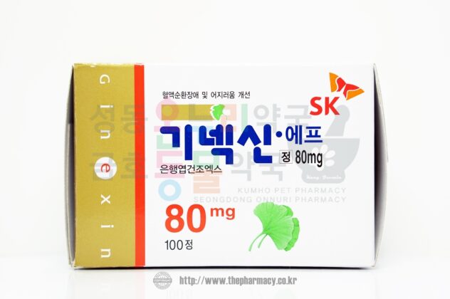 기넥신80mg